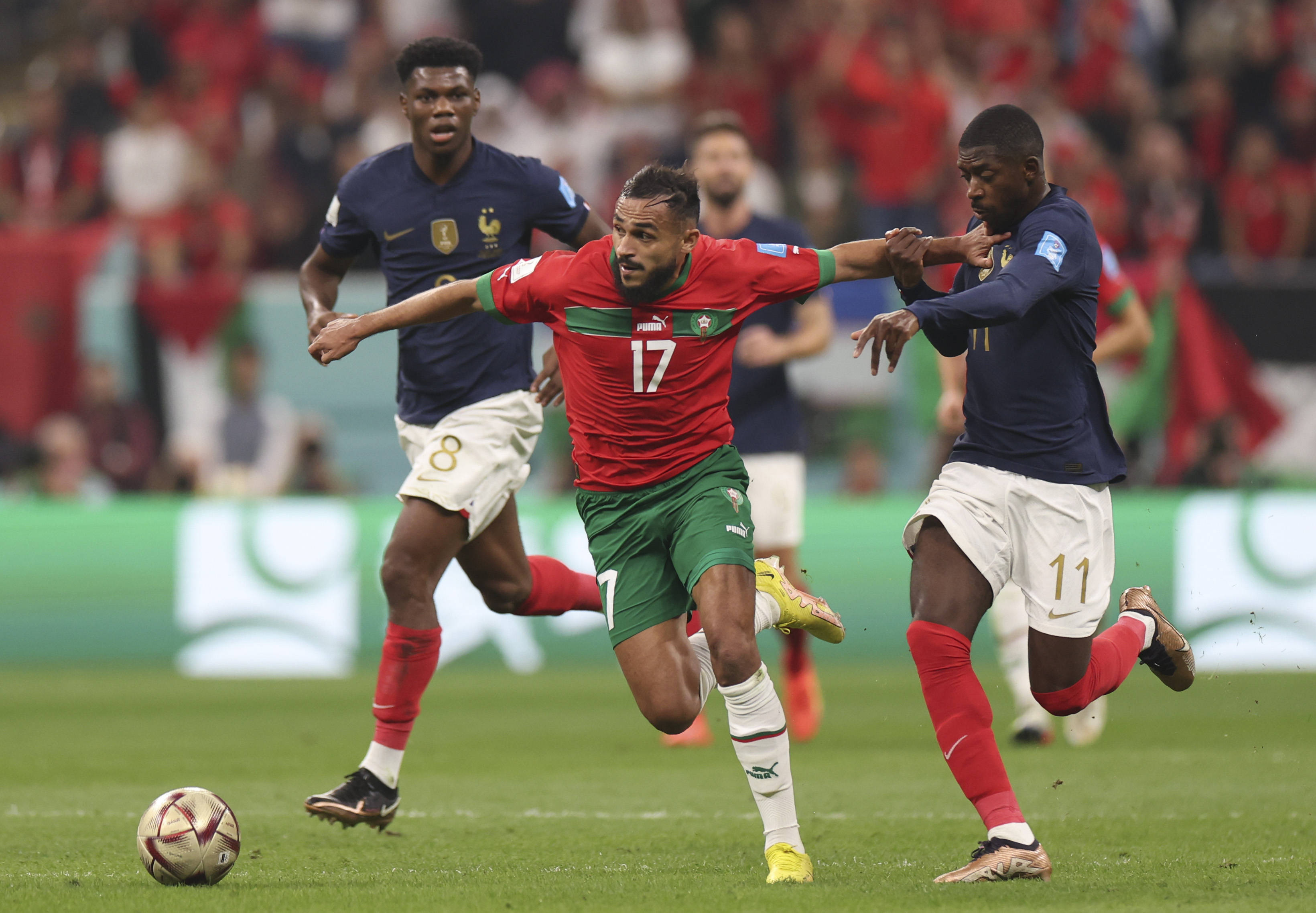 有力的支持 有力的支持